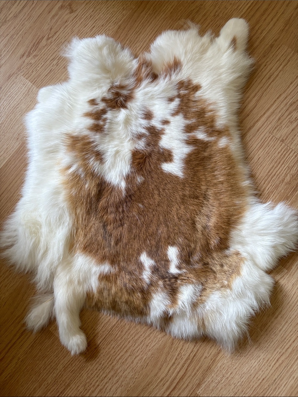 B0117 rabbit pelt- White & Brown
